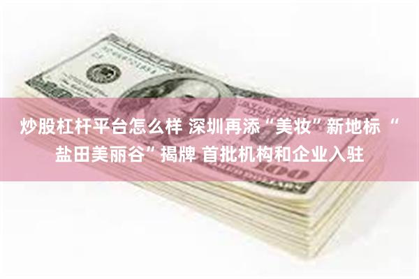 炒股杠杆平台怎么样 深圳再添“美妆”新地标 “盐田美丽谷”揭牌 首批机构和企业入驻