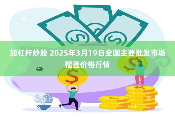 加杠杆炒股 2025年3月19日全国主要批发市场榴莲价格行情