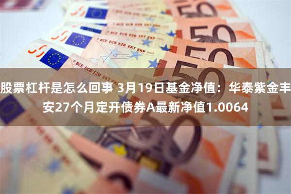 股票杠杆是怎么回事 3月19日基金净值：华泰紫金丰安27个月定开债券A最新净值1.0064
