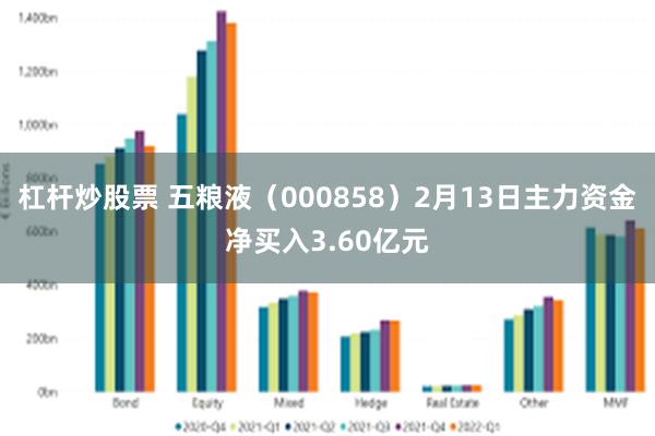 杠杆炒股票 五粮液（000858）2月13日主力资金净买入3.60亿元