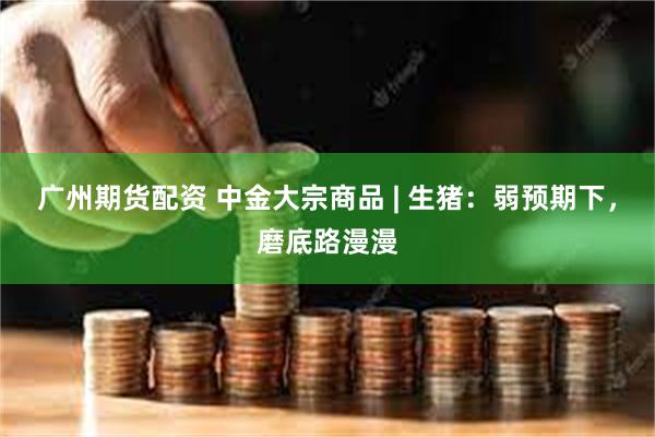 广州期货配资 中金大宗商品 | 生猪：弱预期下，磨底路漫漫